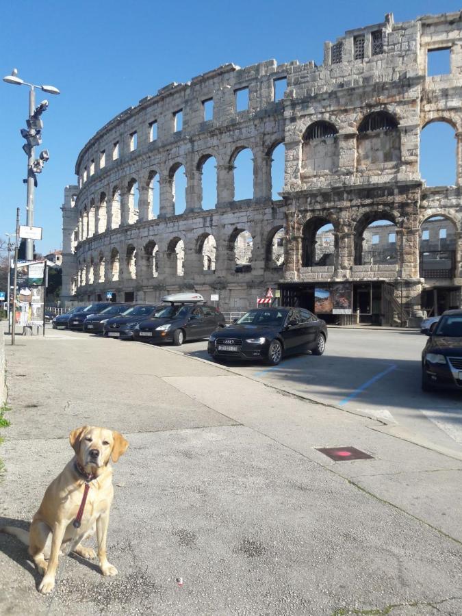 Apartman Luka Apartmán *